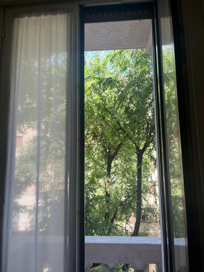 מילאנו Porta Venezia Apartament מראה חיצוני תמונה